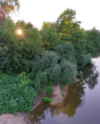 IMG_20260717_194536_311.jpg