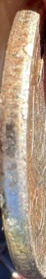IMG_4458.jpeg