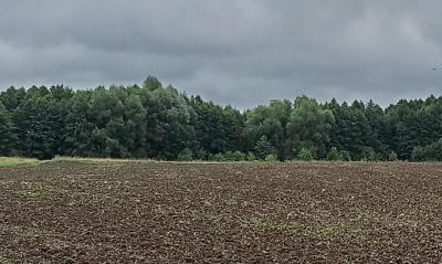 img_20260725_085443.thumb.jpg.04b0a9f86cecb149bf3161818fa8b380.jpg