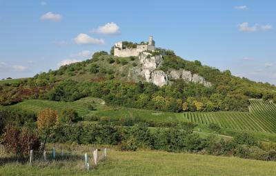 falkenstein_(niederosterreich)_-_burg_(1).thumb.jpg.104e1b88afe9d351acb4b640e4cd4aef.jpg