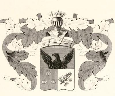 ЯМИ113А.jpg