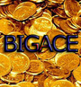 bigace