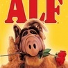 alf