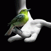 avionic