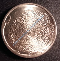 гашеная монета, 2 рубля магнитная