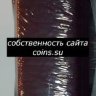 нб.jpg