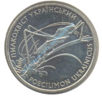 "Пилкохвіст український" / кузнечик 