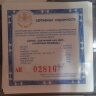 АИ сертификат под 3 рубля "Полярный медведь"